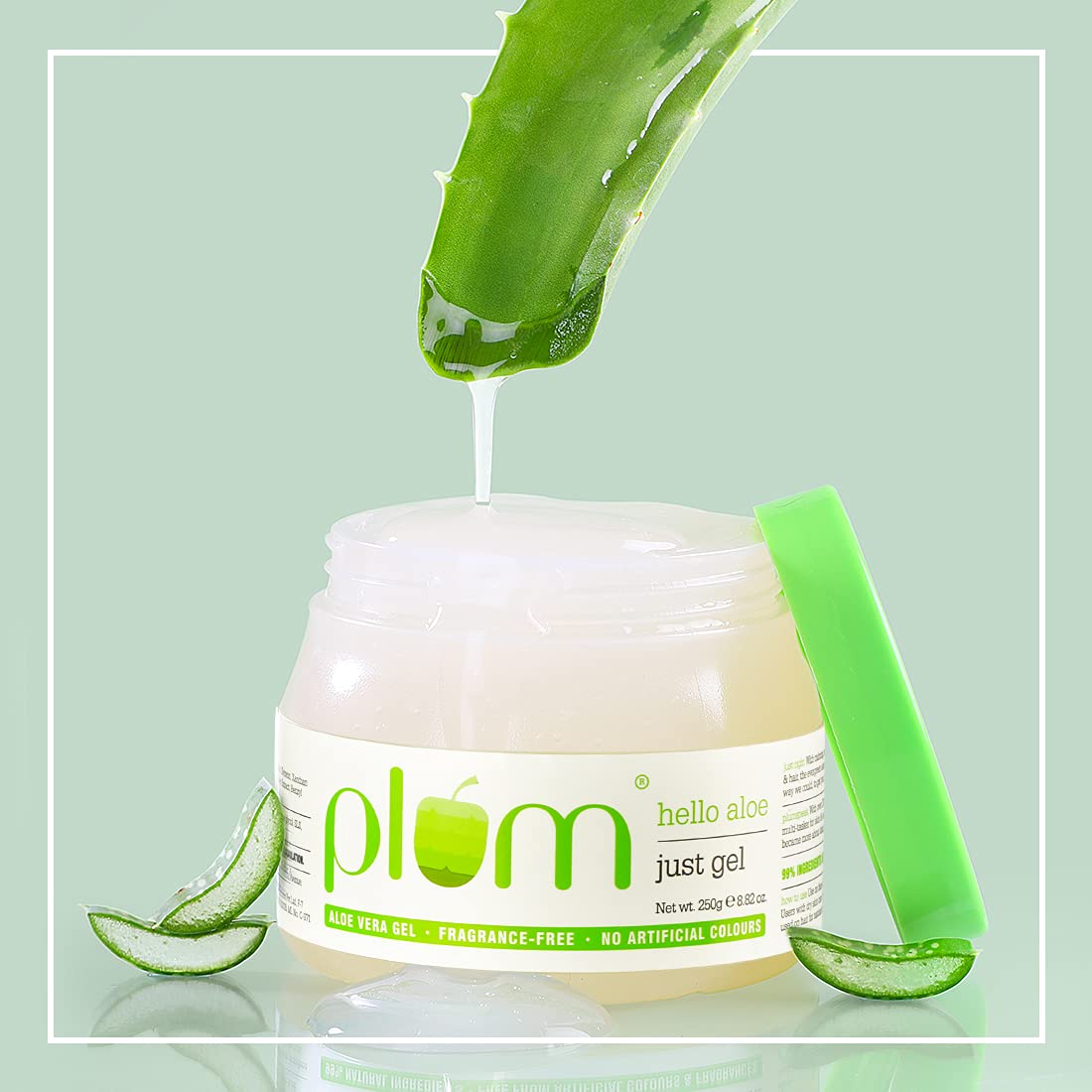 Plum hello aloe just gel (20gm)